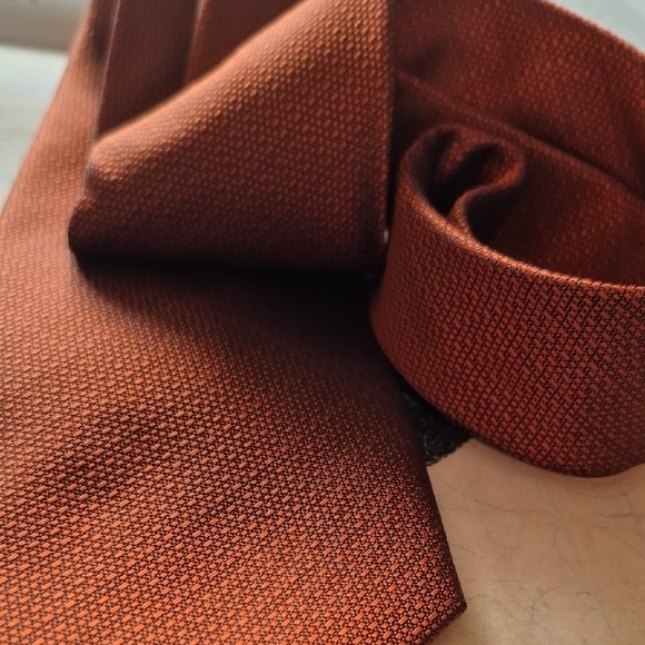 TED LAOIDUS PARIS RUSTY ORANGE Tie Luxurious Accessory - Picture 9 of 9